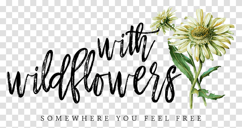 With Wildflowers Calligraphy, Plant, Daisy, Handwriting Transparent Png