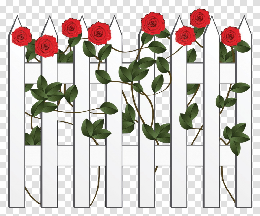 Witness Clipart Garden Roses, Picket, Fence, Plant, Flower Transparent Png