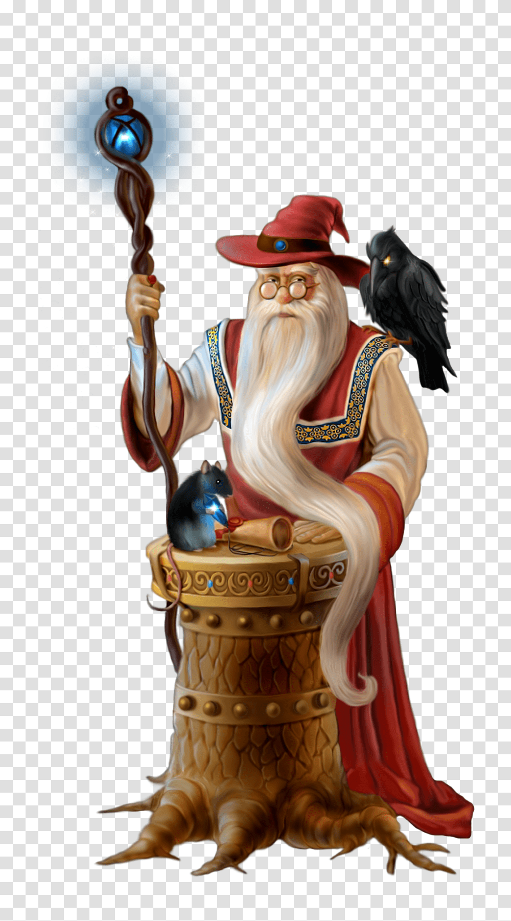 Wizard, Hat, Costume, Person Transparent Png