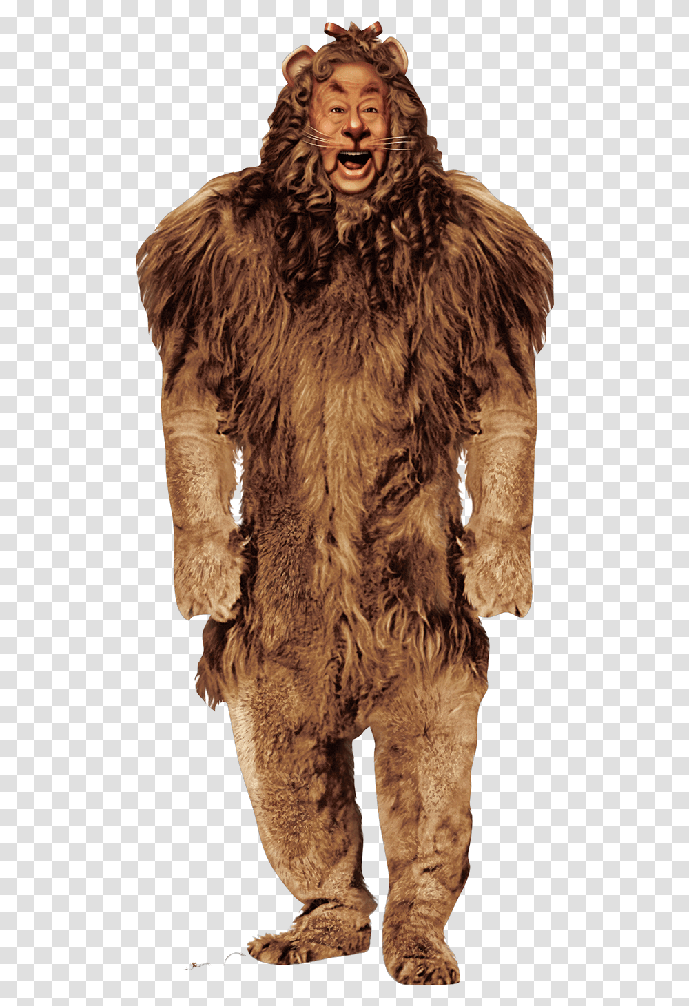 Wizard Of Oz Characters Lion, Fur, Wildlife, Mammal, Animal Transparent Png