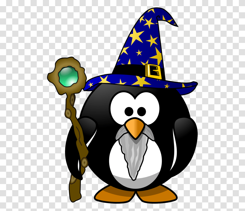 Wizard Penguin, Animals, Apparel, Bird Transparent Png