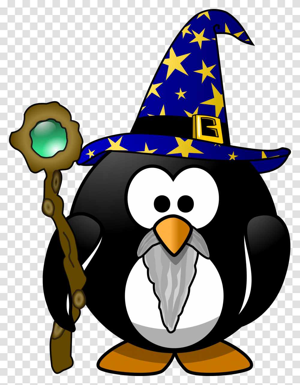Wizard Penguin, Bird, Animal, Apparel Transparent Png
