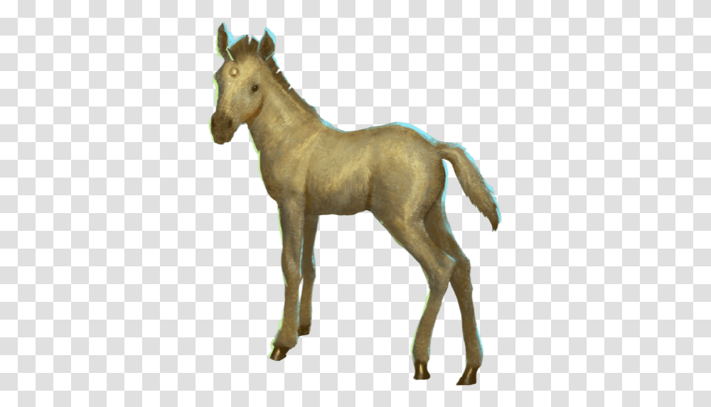 Wizards Baby Unicorn Wizards Unite, Horse, Mammal, Animal, Foal Transparent Png