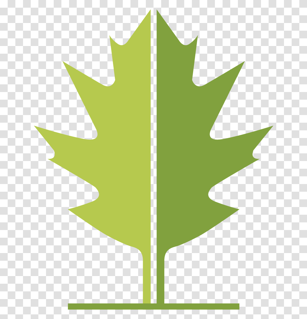 Wlt Leaf Maple Leaf, Plant, Tree, Cross Transparent Png