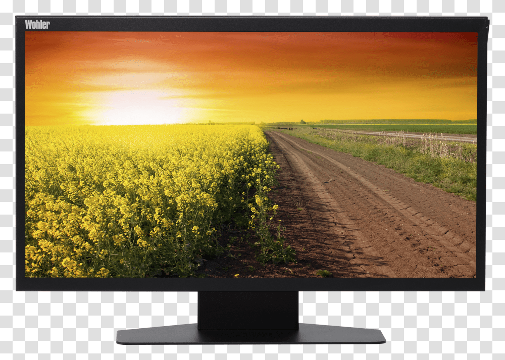 Wohler Rmt 173 Rm 17 Lcd Production Monitor With Transparent Png