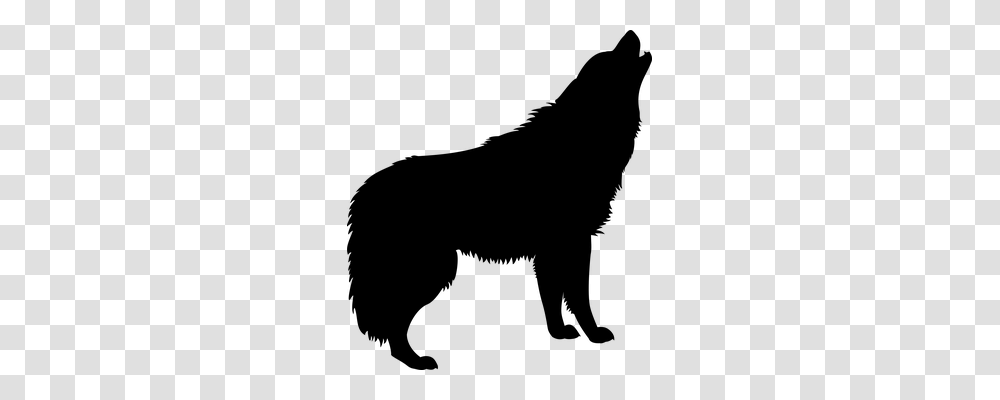 Wolf Gray, World Of Warcraft Transparent Png