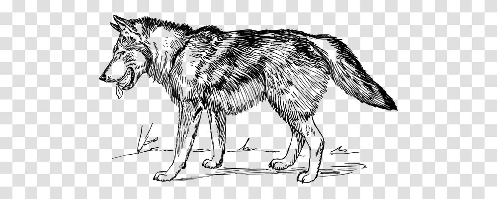 Wolf Technology, Gray, World Of Warcraft Transparent Png