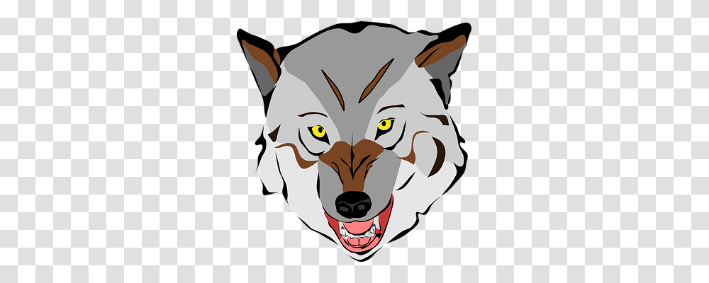 Wolf Animals, Mammal, Coyote Transparent Png