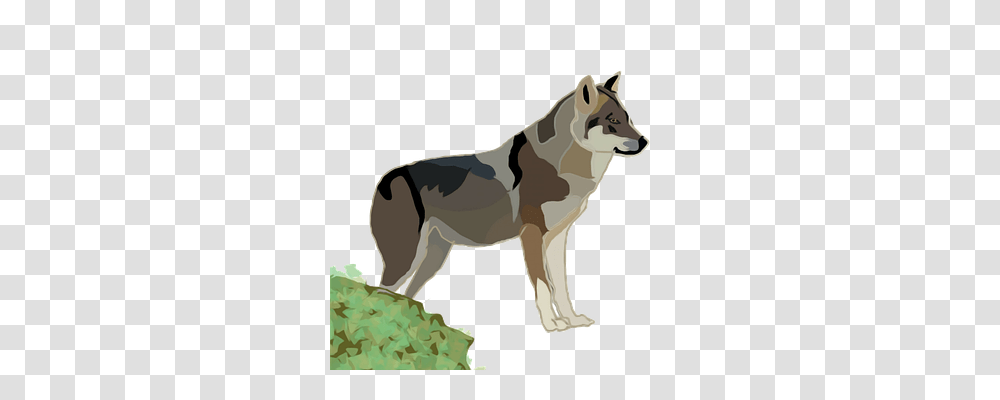 Wolf Nature, Mammal, Animal, Horse Transparent Png