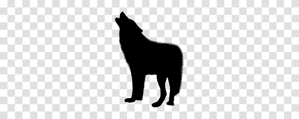 Wolf Animals, Gray, World Of Warcraft Transparent Png