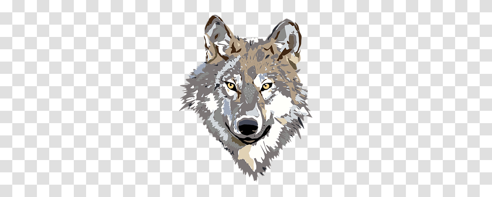 Wolf Animals, Mammal, Red Wolf, Canine Transparent Png
