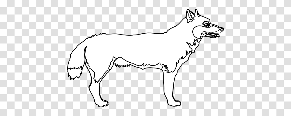 Wolf Nature, Mammal, Animal, Stencil Transparent Png