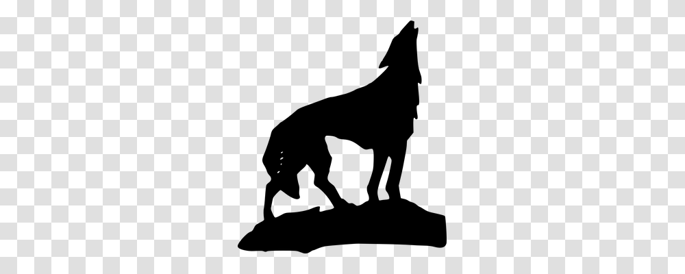 Wolf Animals, Gray, World Of Warcraft Transparent Png