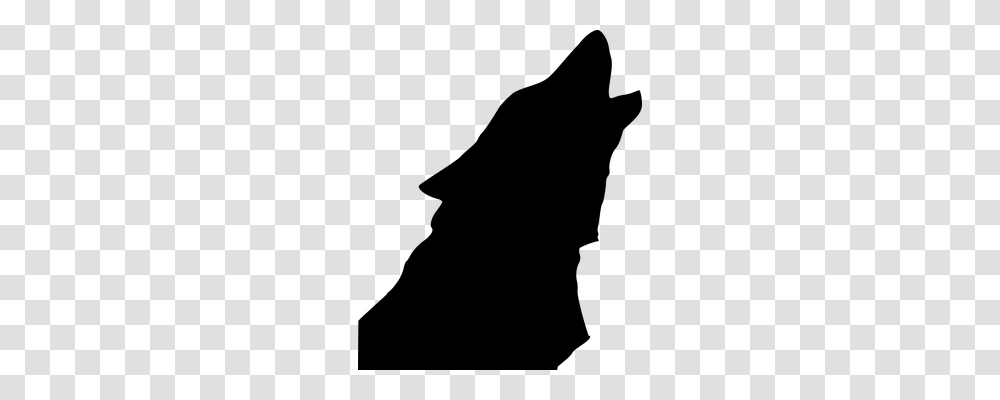 Wolf Animals, Gray, World Of Warcraft Transparent Png