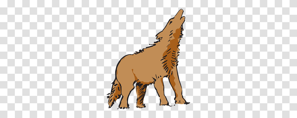 Wolf Animals, Mammal, Wildlife, Goat Transparent Png