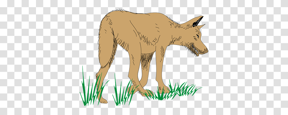 Wolf Food, Mammal, Animal, Wildlife Transparent Png