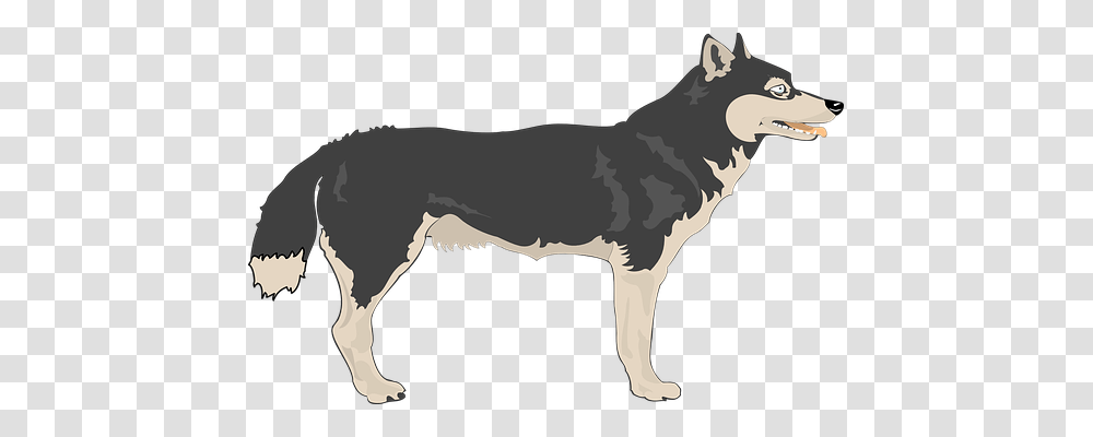 Wolf Animals, Mammal, Horse, Coyote Transparent Png