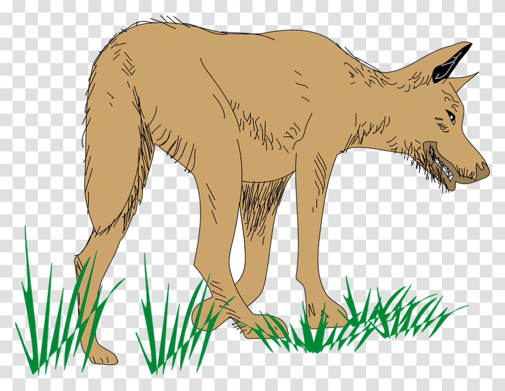 Wolf Animal Mammal Brown Grass Food Hunting Animated Walking Dog, Wildlife, Elephant, Coyote, Hyena Transparent Png