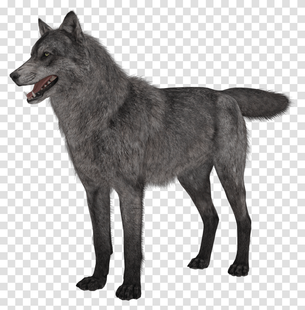 Wolf Clipart Background Call Of Duty Ghosts Wolves, Coyote, Mammal, Animal, Dog Transparent Png