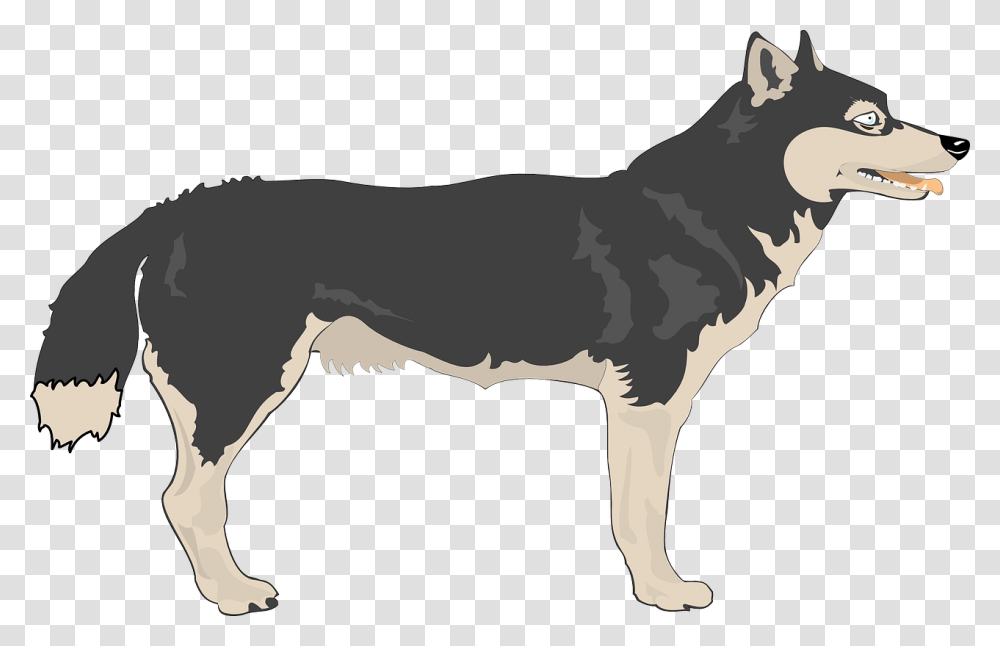 Wolf Clipart Free Animated Wolf Side View, Animal, Mammal, Coyote, Pet Transparent Png