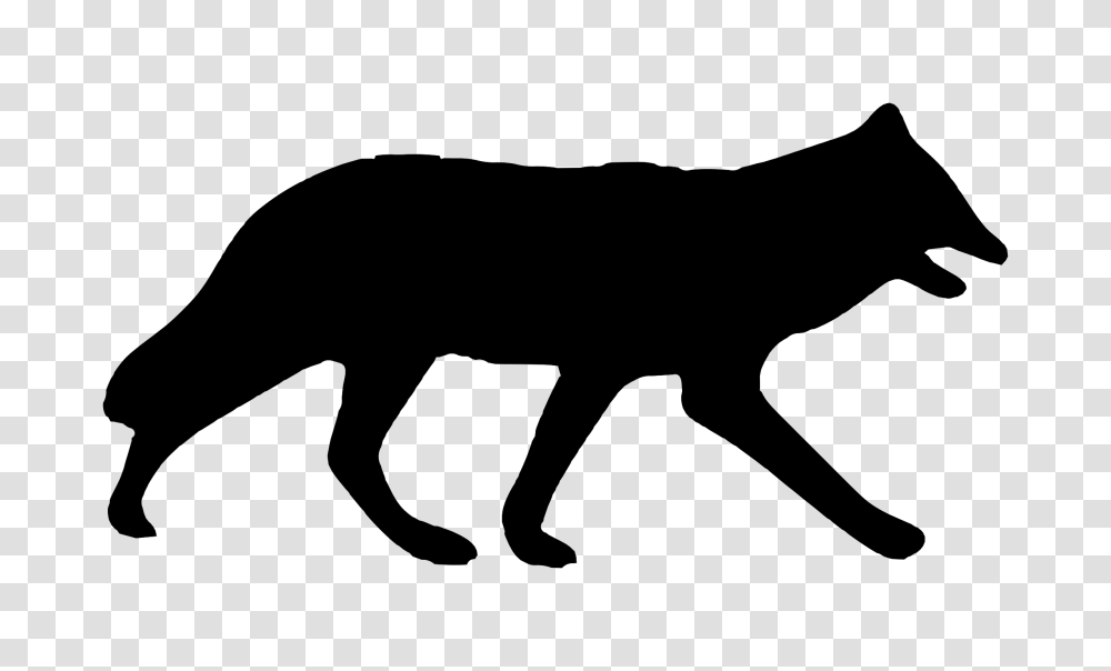 Wolf Clipart Grey Fox, Gray, World Of Warcraft Transparent Png
