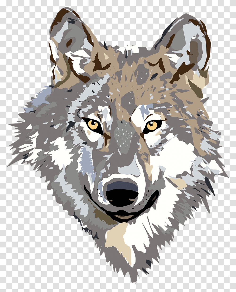 Wolf Clipart, Mammal, Animal, Red Wolf, Canine Transparent Png