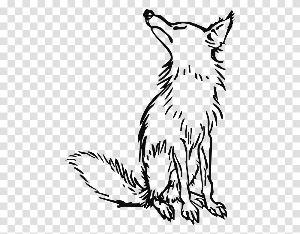 Wolf Clipart Outline Of Fox And Grapes, Plant, Tree, Animal, Mammal Transparent Png