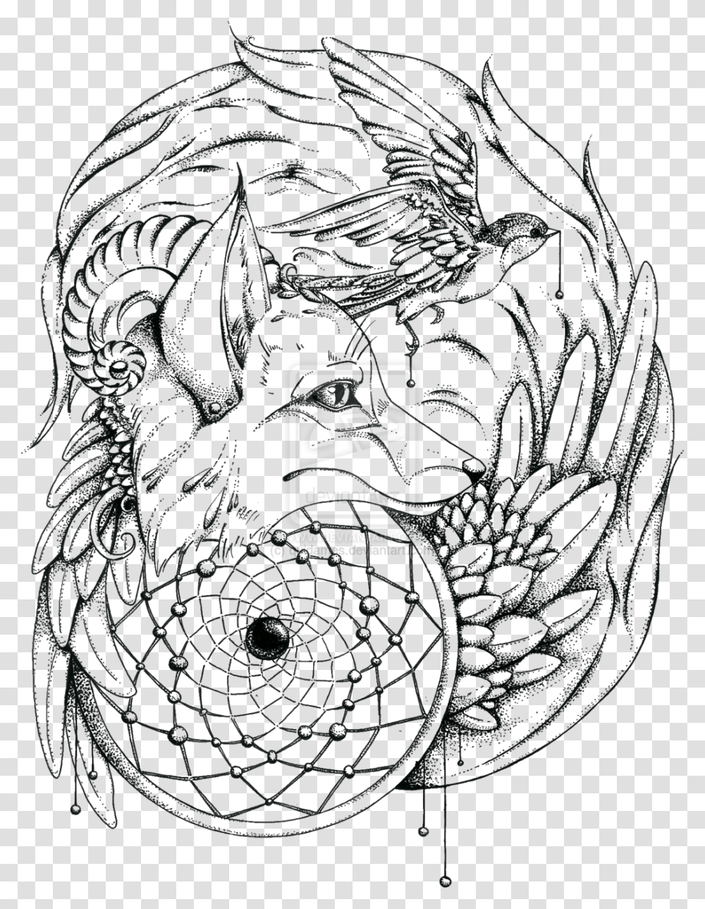 Wolf Dream Catcher Coloring Pages, Spiral, Coil, Tree Transparent Png