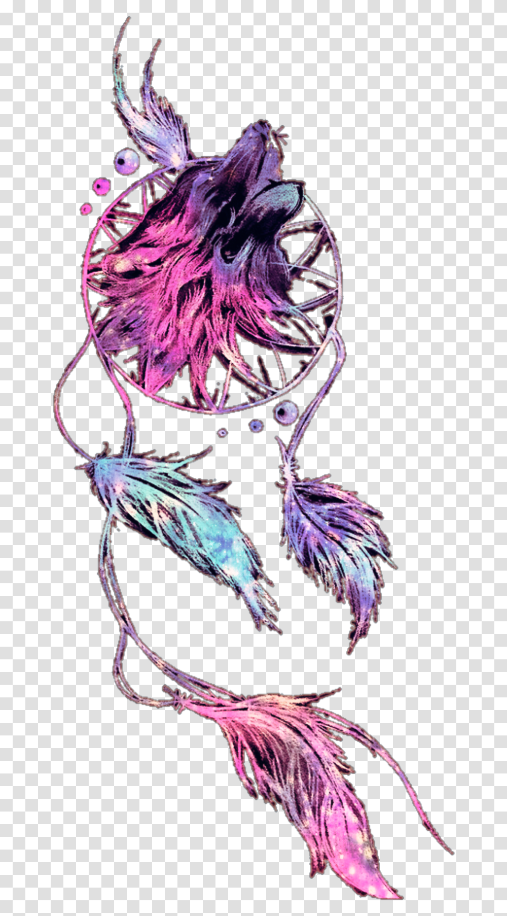 Wolf Dreamcatcher Indian Boho Galaxy Illustration, Pattern, Floral Design Transparent Png