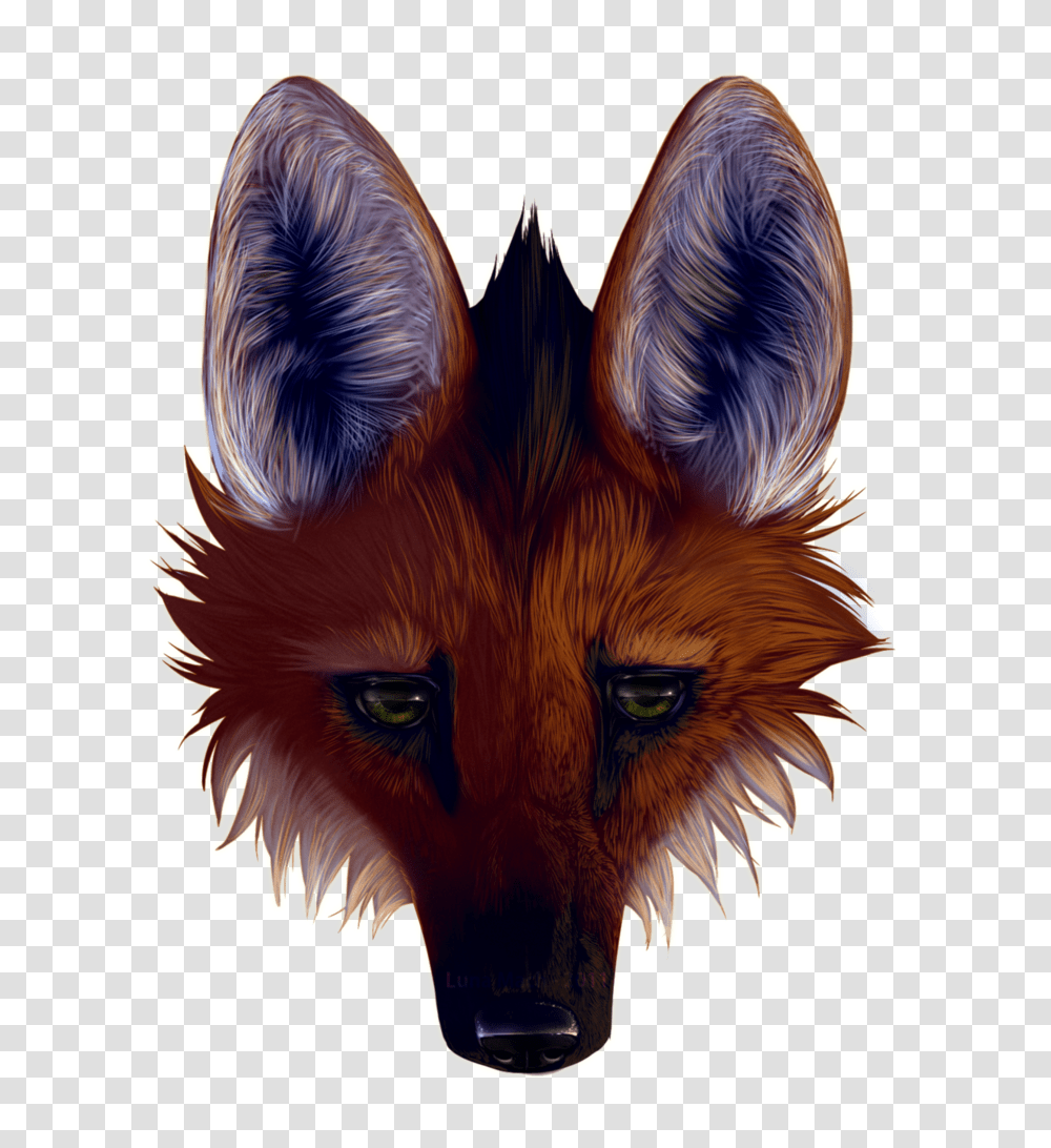 Wolf Face New Blog, Mammal, Animal, Wildlife, Pattern Transparent Png