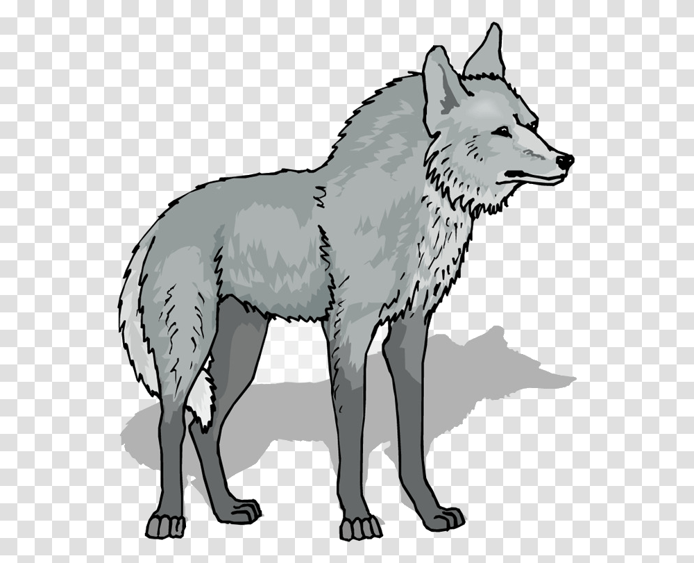 Wolf Gray Free Content Stockxchng Line Art Wildlife Background Wolf Clipart, Mammal, Animal, Horse, Elephant Transparent Png