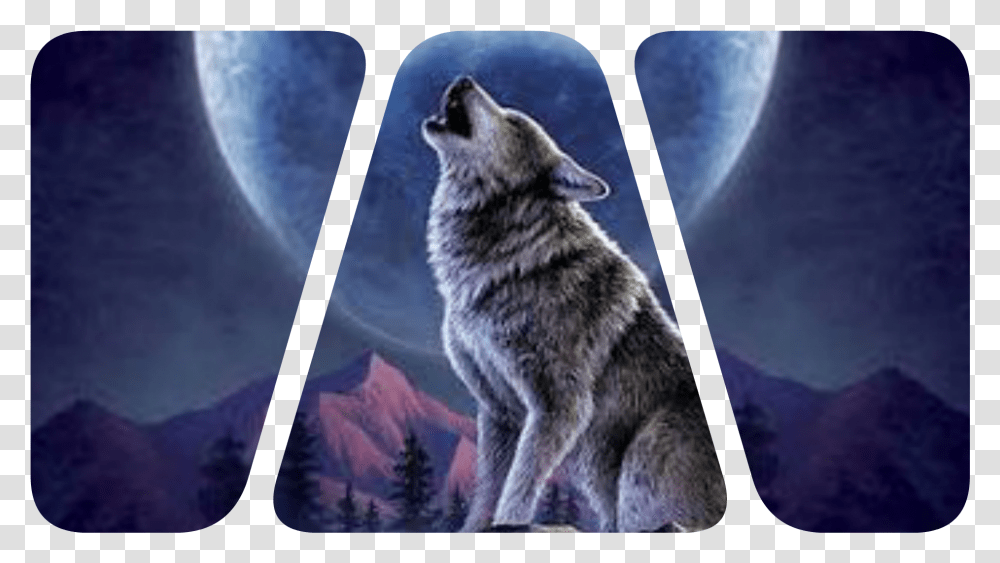 Wolf Howling At Moon 3d Art Download, Mammal, Animal, Coyote, Red Wolf Transparent Png