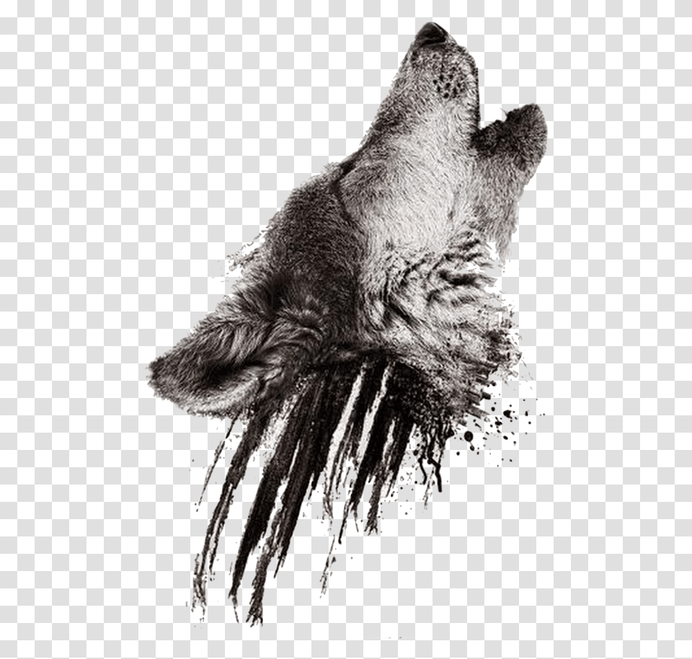 Wolf Howling Background, Animal, Mammal, Sea Life, Invertebrate Transparent Png