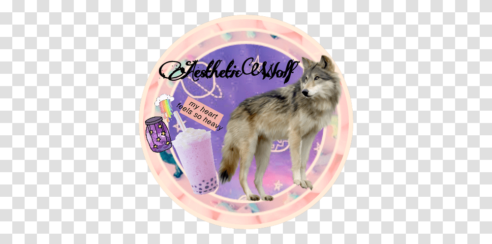 Wolf Icon Aesthetic Rainbow Coffee Jar Stars Wolf, Dog, Pet, Canine, Animal Transparent Png