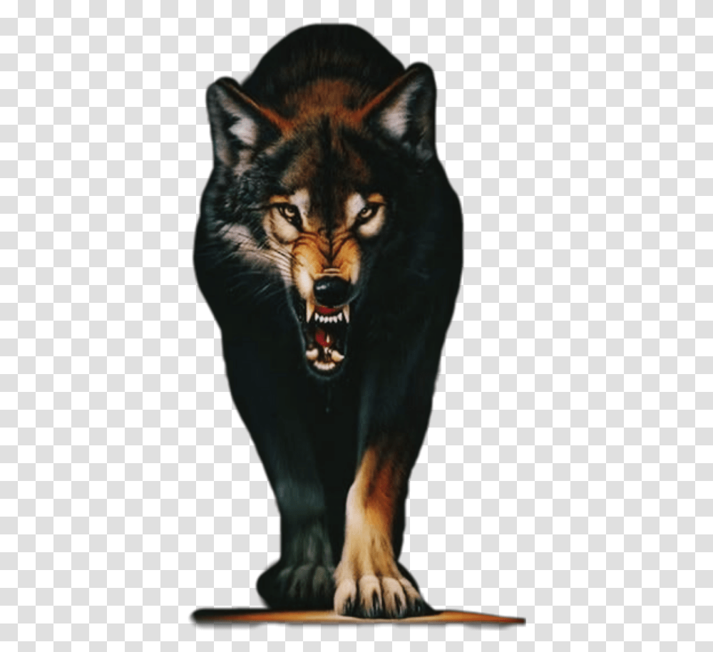 Wolf Iphone Cool Backgrounds, Mammal, Animal, Cat, Pet Transparent Png