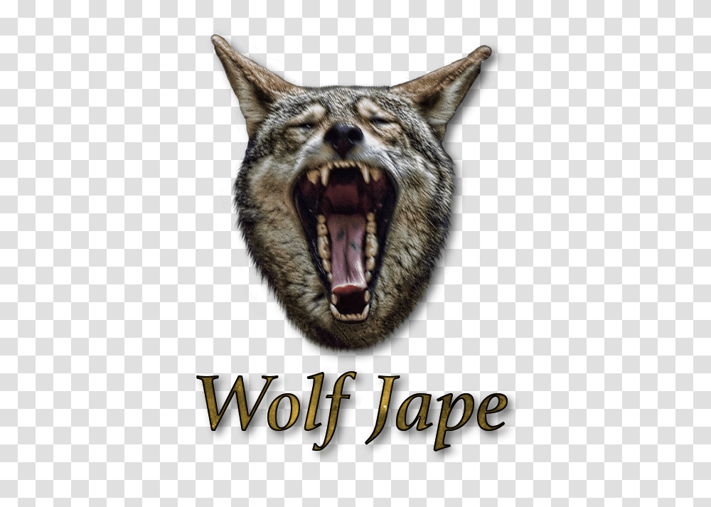 Wolf Jape Fang, Mammal, Animal, Fox, Wildlife Transparent Png