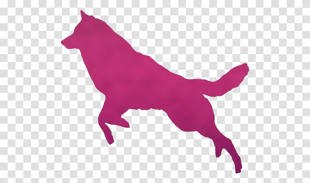 Wolf Jumping Silhouette Clip Art Ancient Dog Breeds, Animal, Mammal, Logo Transparent Png