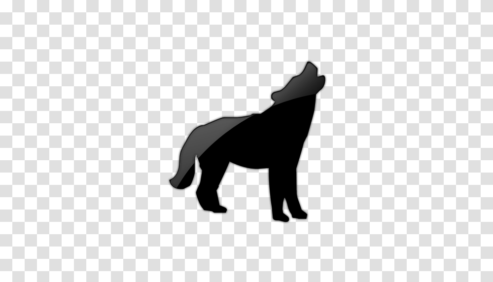 Wolf, Kneeling, Photography Transparent Png