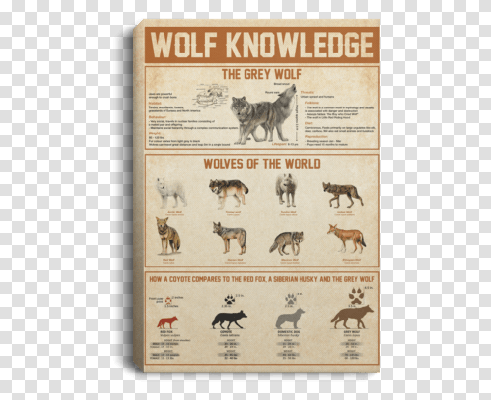 Wolf Knowledge Poster, Dog, Pet, Canine Transparent Png