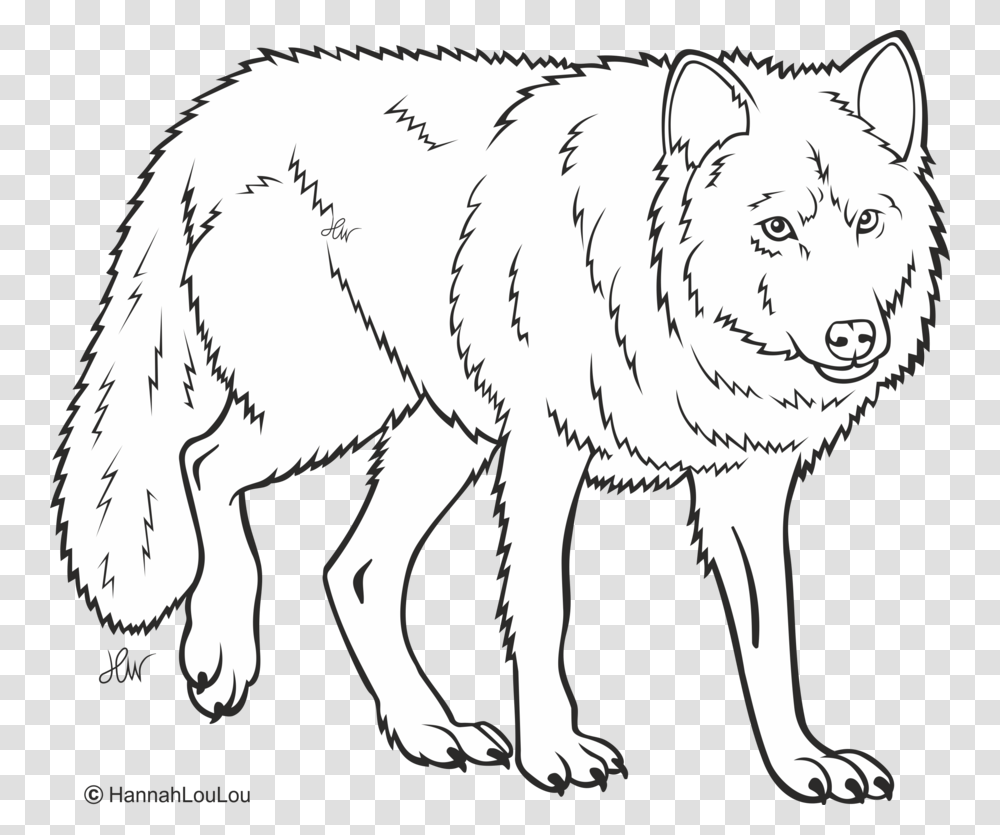 Wolf Line Drawing, Mammal, Animal, Coyote, Elephant Transparent Png