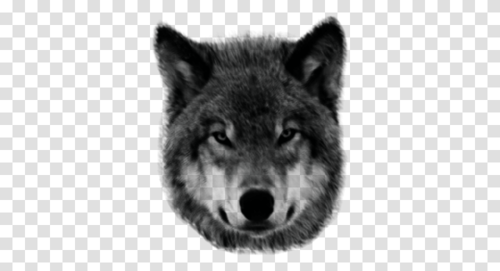 Wolf Lobo, Outdoors, Nature, Outer Space, Astronomy Transparent Png