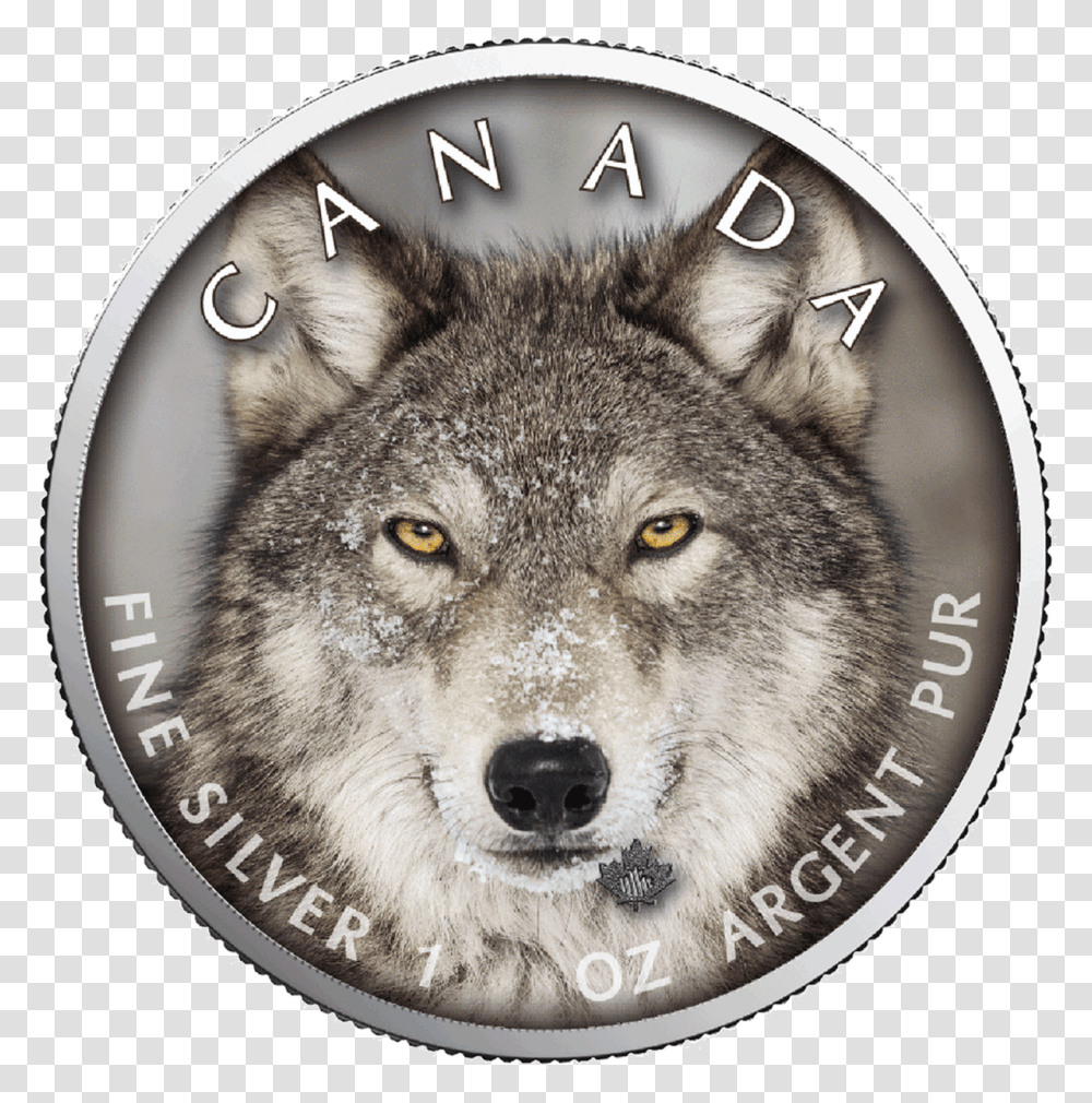 Wolf Maple Leaf Canada S Wildlife Coin, Mammal, Animal, Dog, Pet Transparent Png