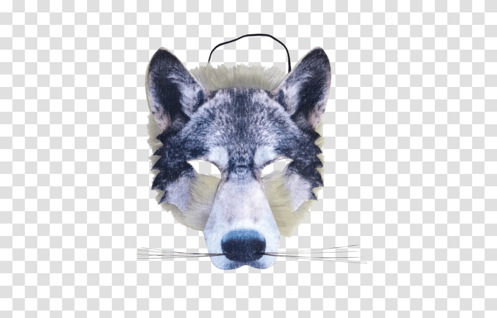 Wolf Nose Wolf Mask, Mammal, Animal, Coyote, Red Wolf Transparent Png