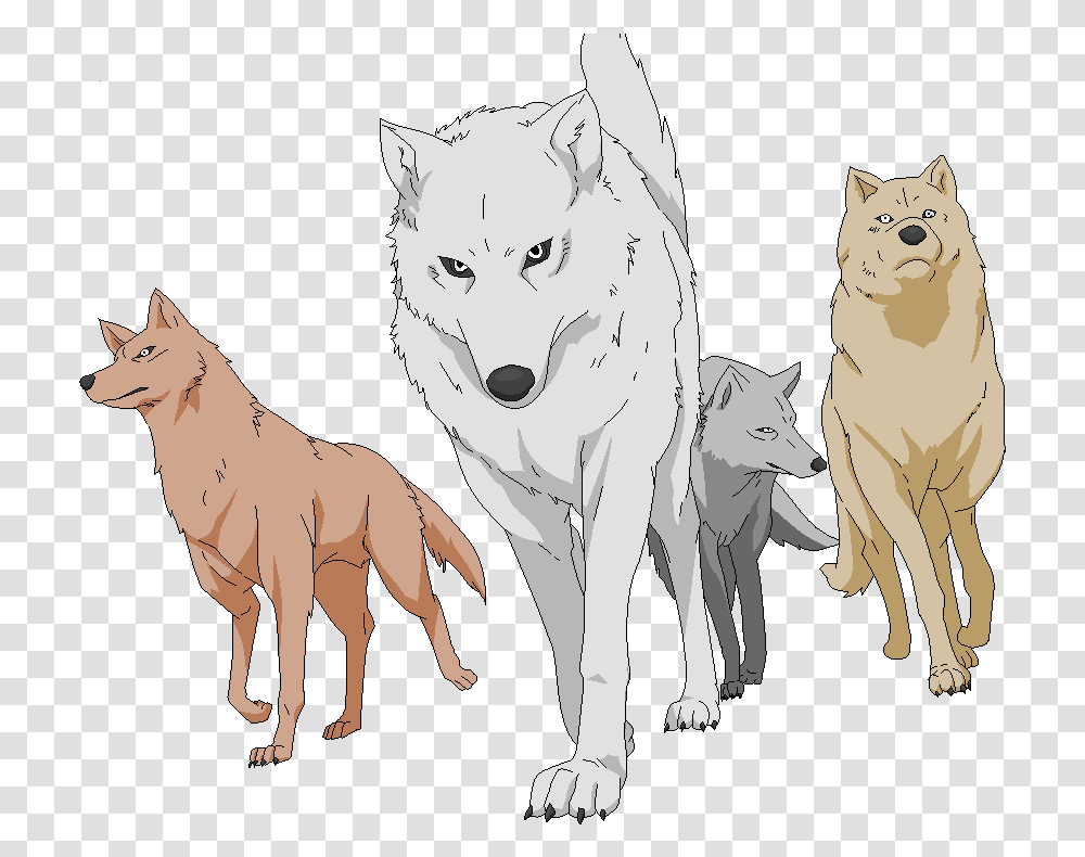 Wolf Pack Picture Wolf Pack Background, Mammal, Animal, Red Wolf, Canine Transparent Png