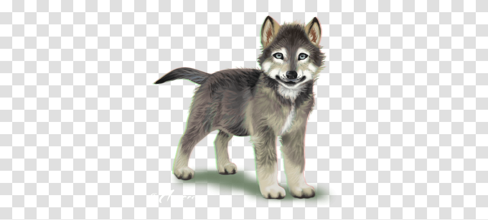 Wolf Pup Background Wolf Cub No Background, Dog, Pet, Canine, Animal Transparent Png