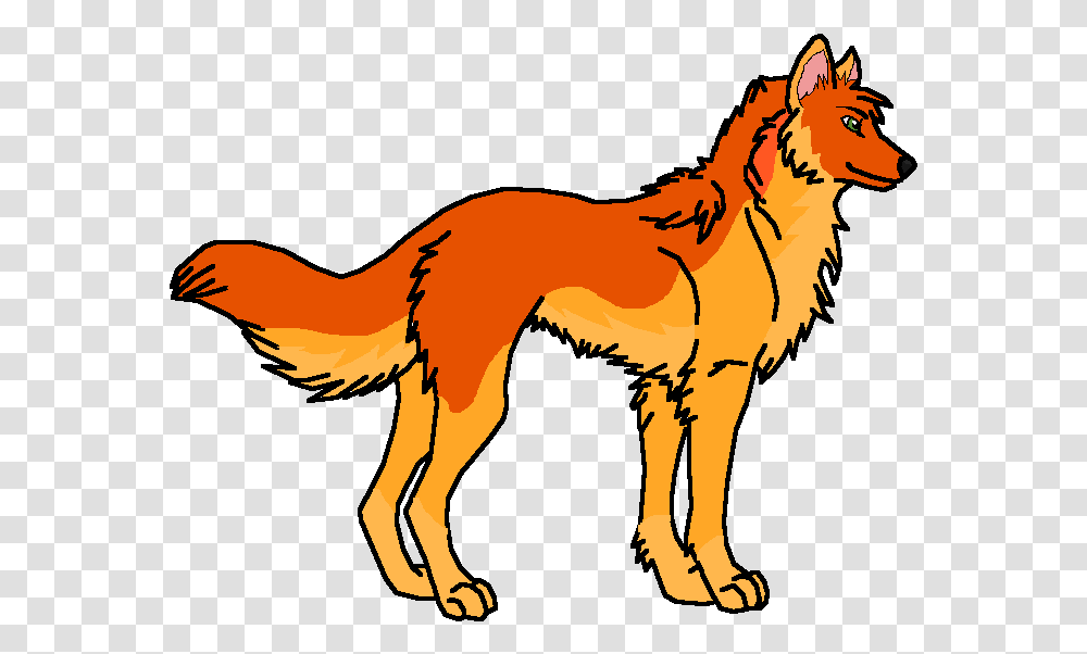 Wolf, Red Fox, Canine, Wildlife, Mammal Transparent Png