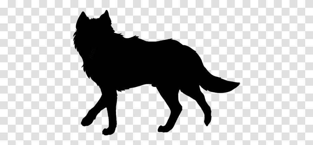 Wolf Silhouette Clip Art Schattenbild Pferd Mit Reiterin, Mammal, Animal, Coyote, Wildlife Transparent Png