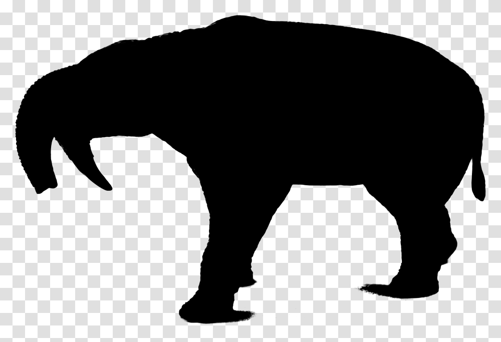 Wolf Silhouette Indian Elephant Bear Art Angry Wolf Silhouette, Gray, World Of Warcraft Transparent Png
