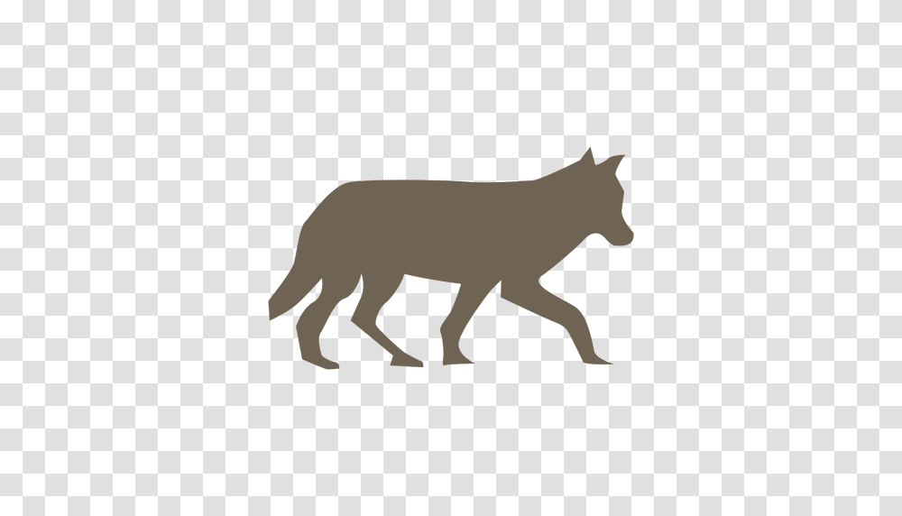 Wolf Silhouette, Mammal, Animal, Coyote, Wildlife Transparent Png