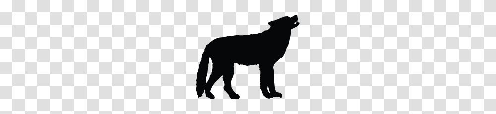 Wolf Silhouette Silhouette Of Wolf, Mammal, Animal, Wildlife, Stencil Transparent Png